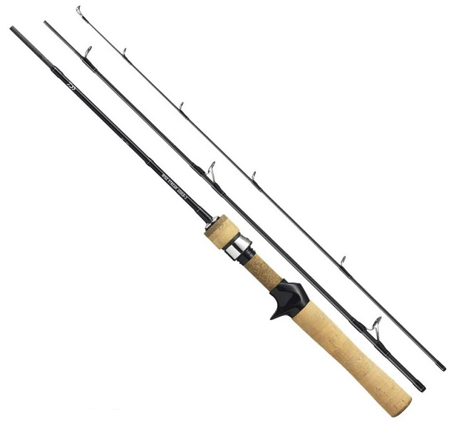 ロッドのアップ写真