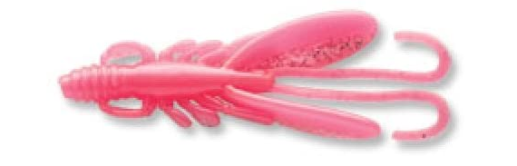 ワームのアップ写真