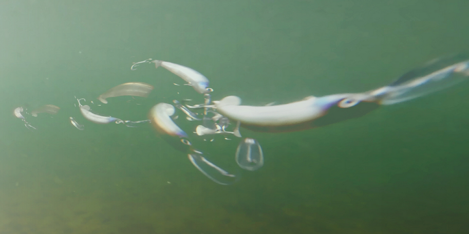 ルアーのアップ写真