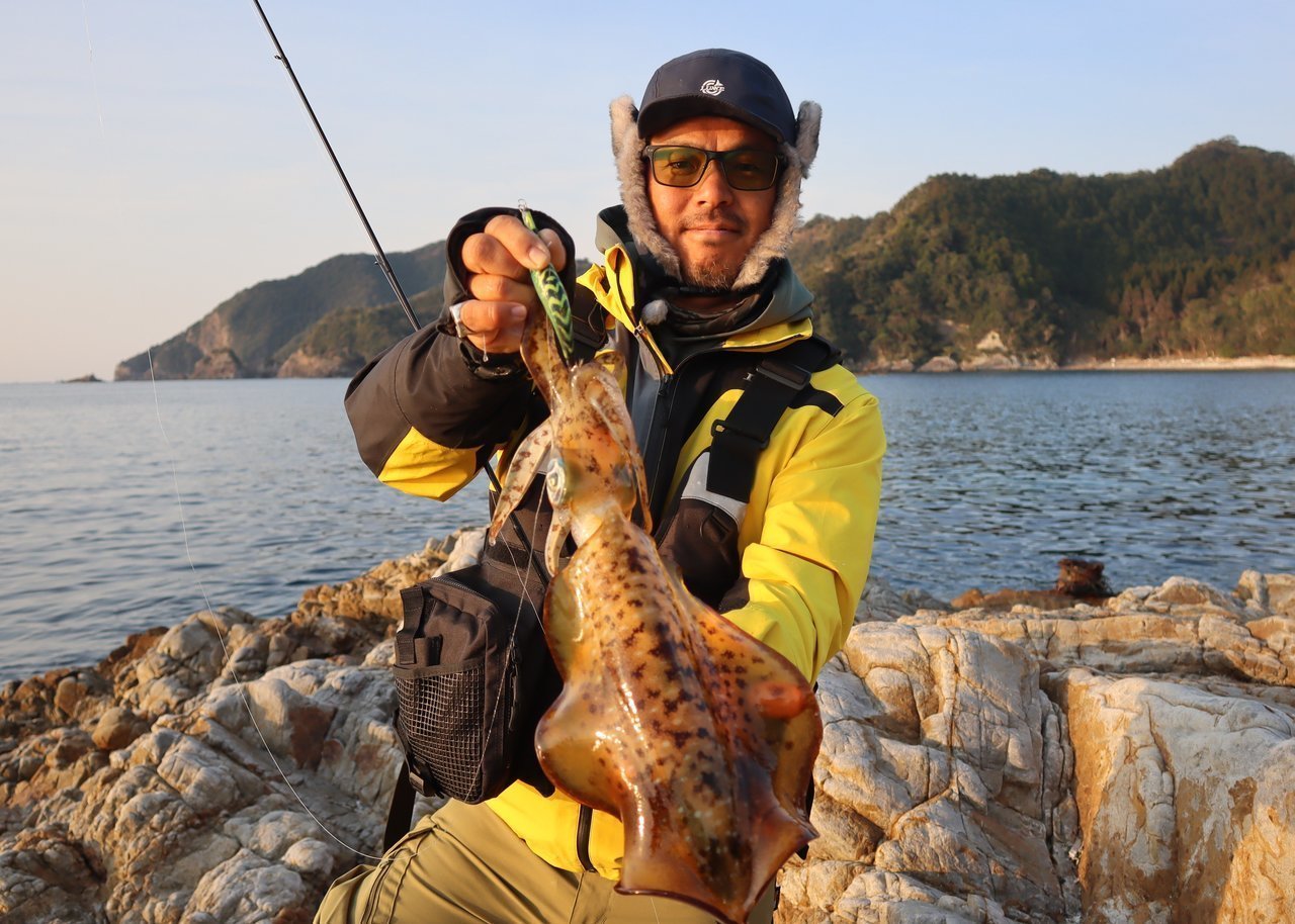 アオリイカとアングラーの写真