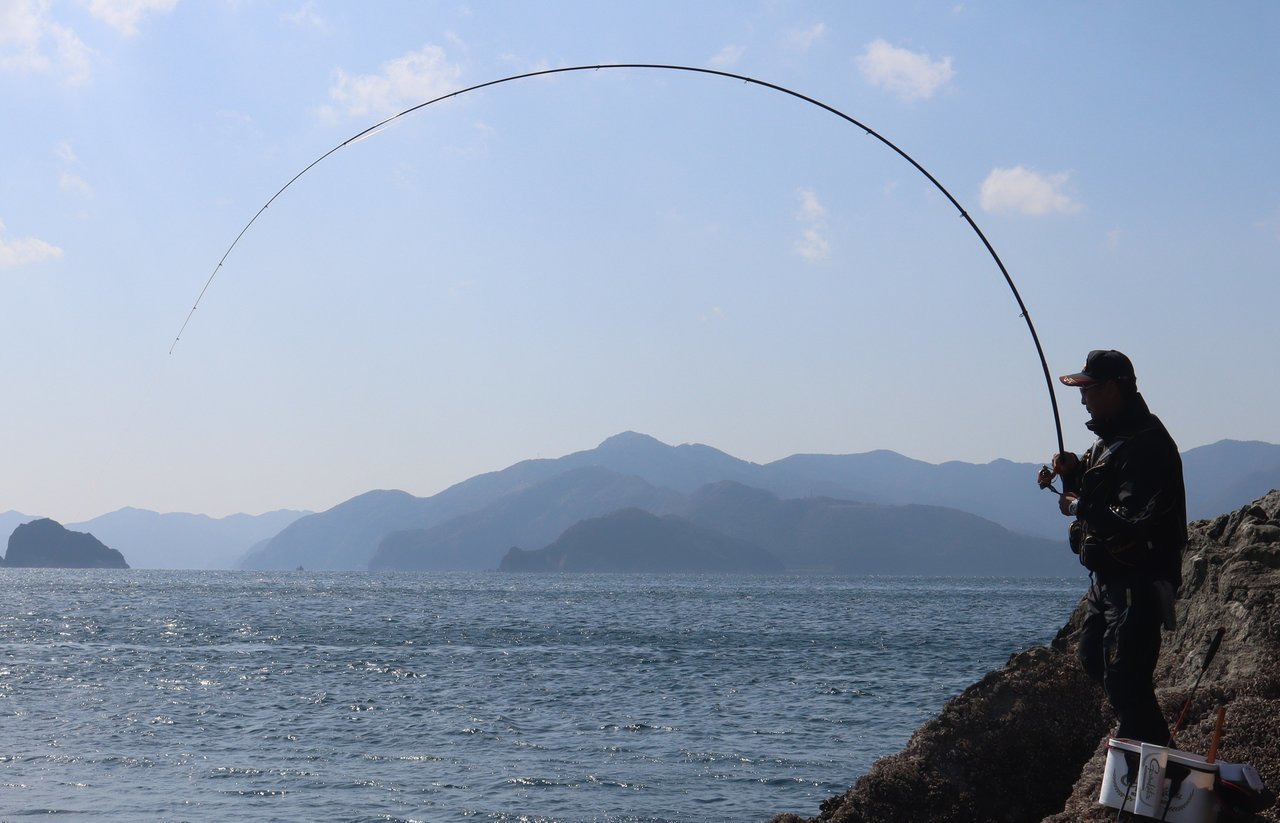 しなるロッドの写真