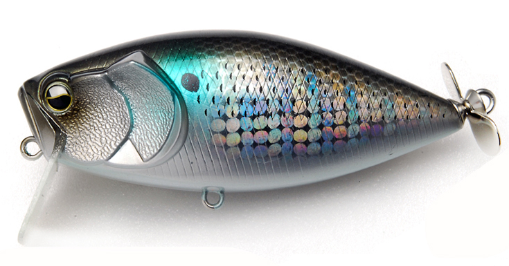 ルアーのアップ写真