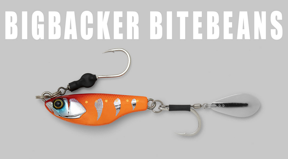 ルアーのアップ写真