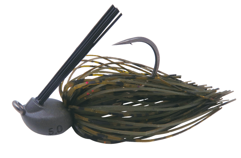 魚のアップ写真