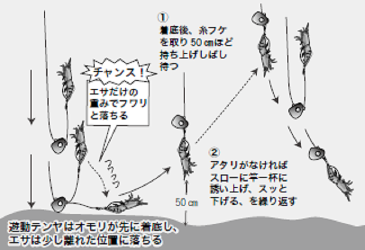 マダイ～遊動テンヤ＆メタルジグ必釣法～