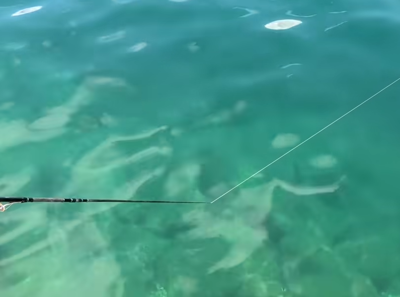 ロッドのアップ写真