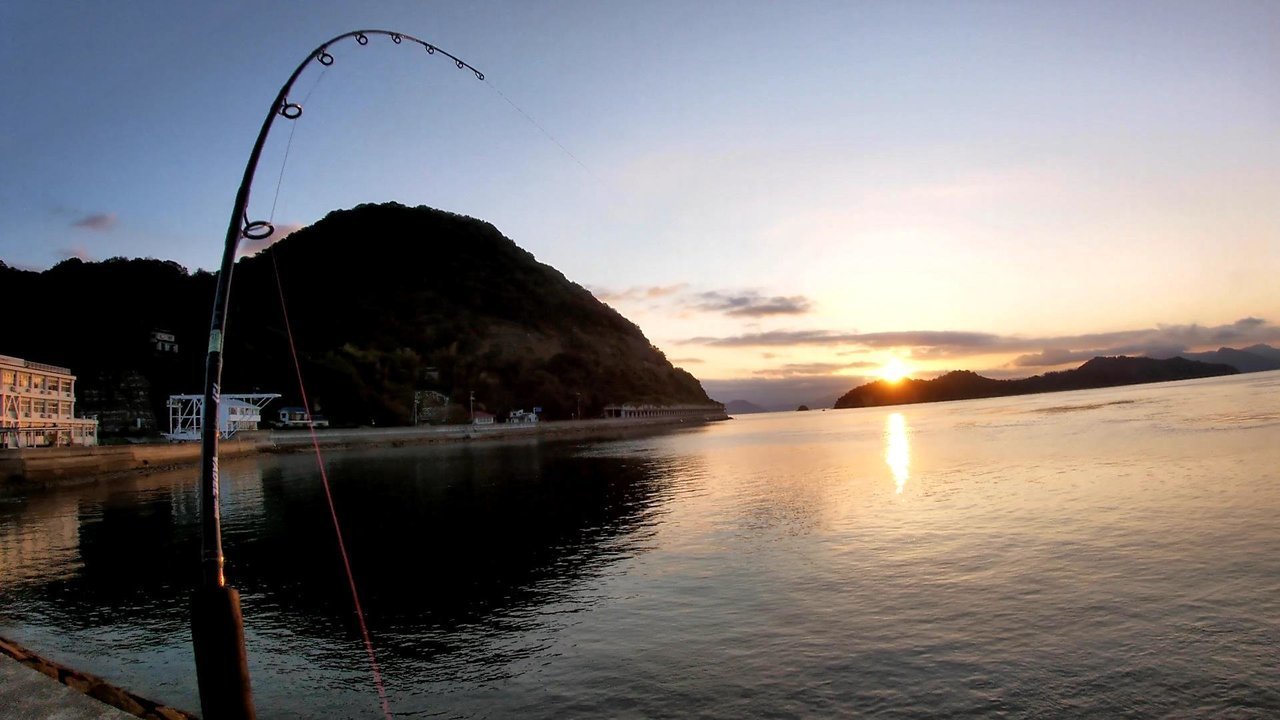 サゴシ釣りの写真