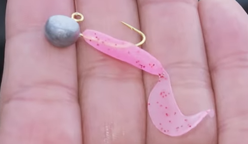 ワームのアップ写真