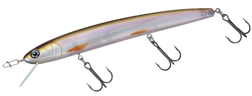 ルアーのアップ写真