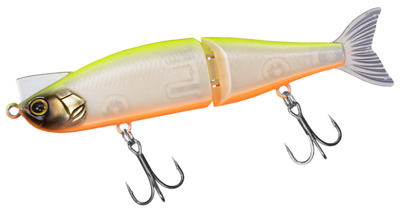 ルアーのアップ写真