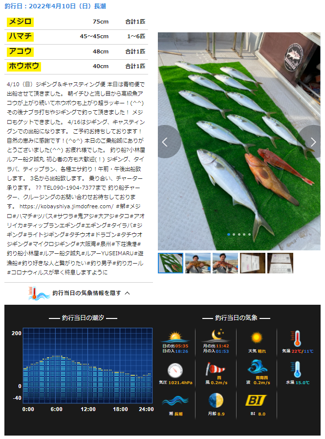 釣果情報の写真