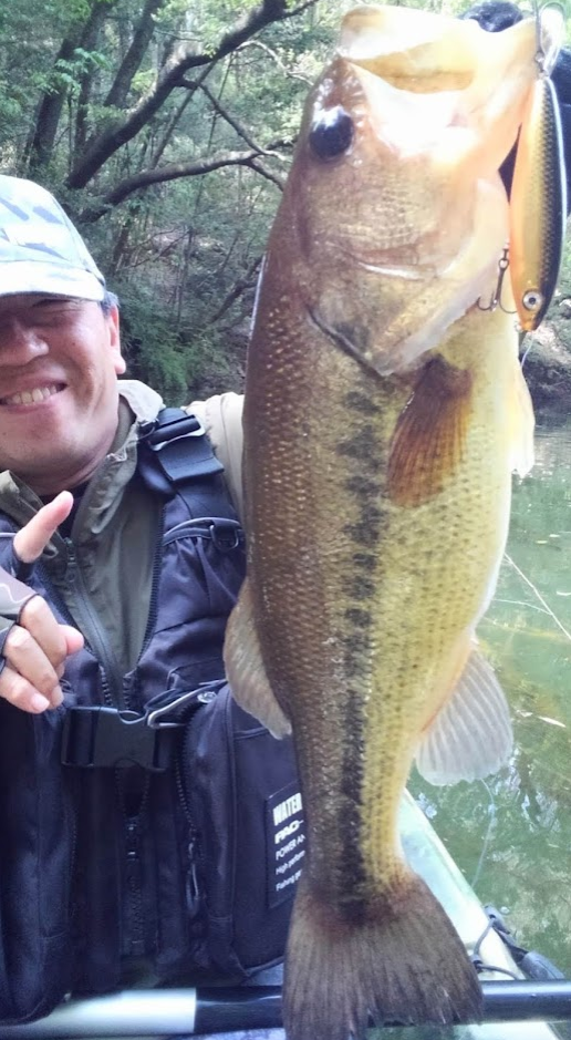 魚とルアーのアップ写真