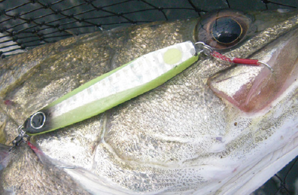 ルアーのアップ写真