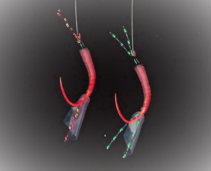 サビキ釣り入門!初心者におすすめの釣りスタートマニュアル