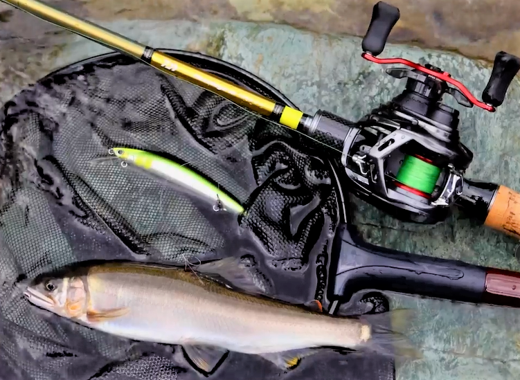 ロッドのアップ写真