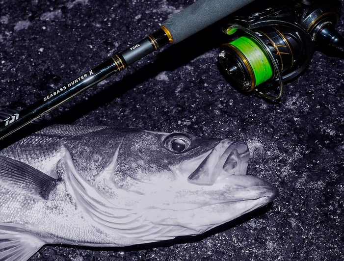 魚とロッドのアップ写真