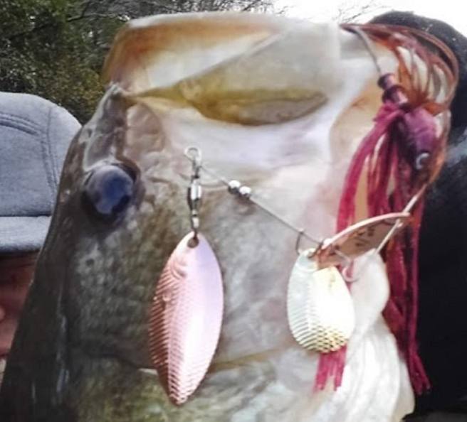 魚とルアーのアップ写真