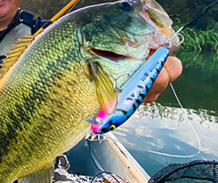 パニックジャックなら逃げ惑う小魚をデジ巻きで演出OK！2022年新ペンシルベイト