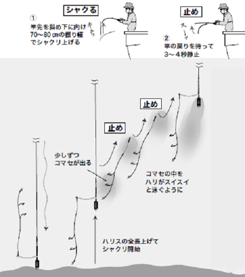 相模湾で季節の魚を全て釣っちゃえ ウィリー五目