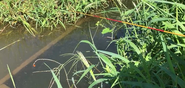 ロッドのアップ写真