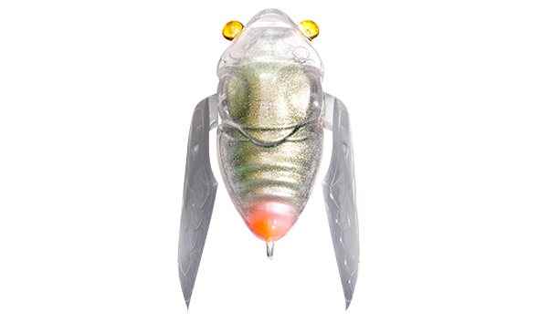 ルアーのアップ写真