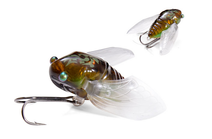 ルアーのアップ写真