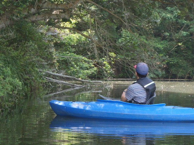 バス　バス釣り　バスフィッシング