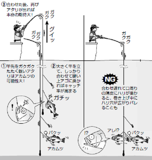 釣り方の図