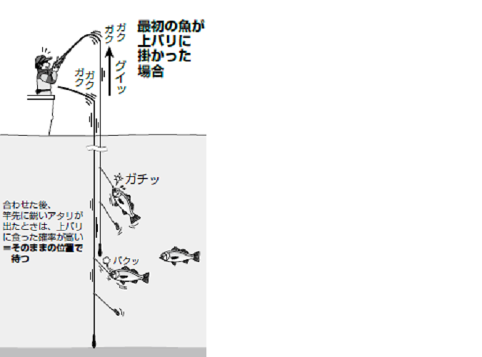 釣り方の図