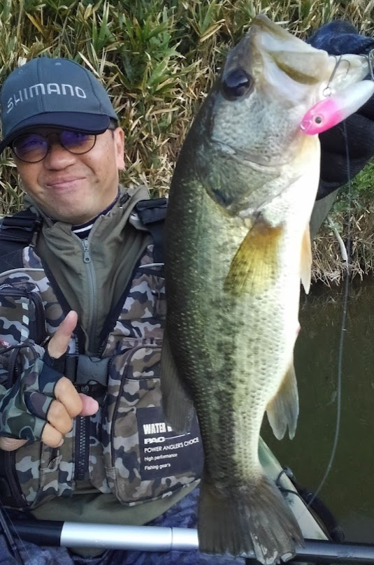 魚とルアーのアップ写真