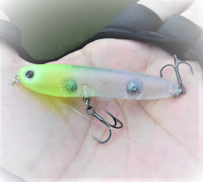 魚とルアーのアップ写真