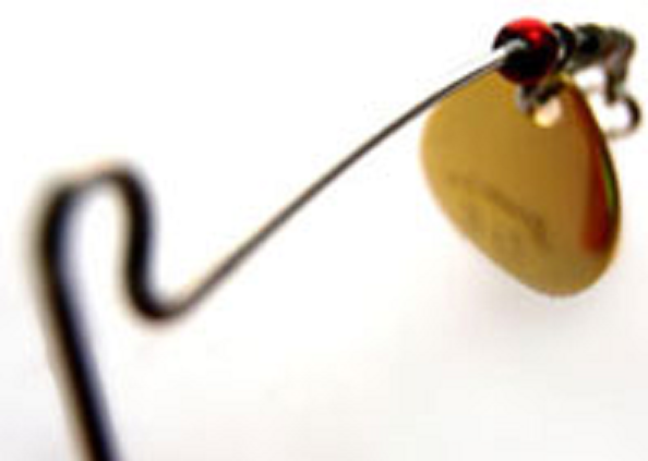 ルアーのアップ写真