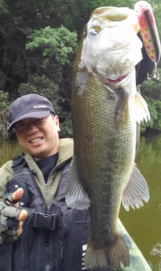 魚とルアーのアップ写真