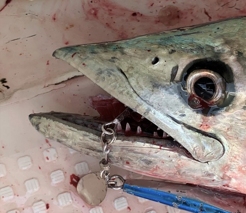 スピナーブレードフック