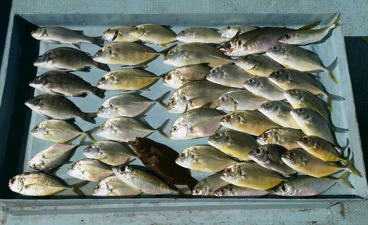 大量のメッキの写真