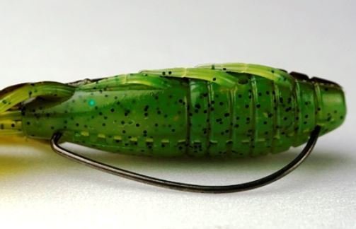 ダイワ　バスフィッシング　バス釣り　バス