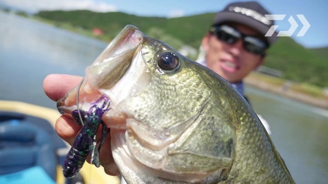 バス　バス釣り　バスフィッシング　ルアー　ワーム