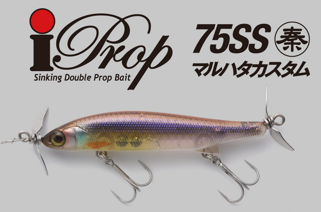 ルアーのアップ写真