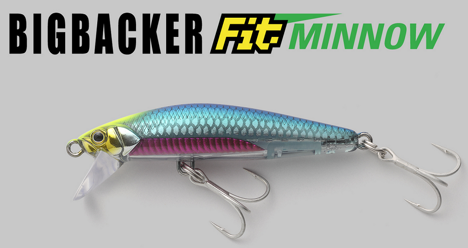 ルアーのアップ写真