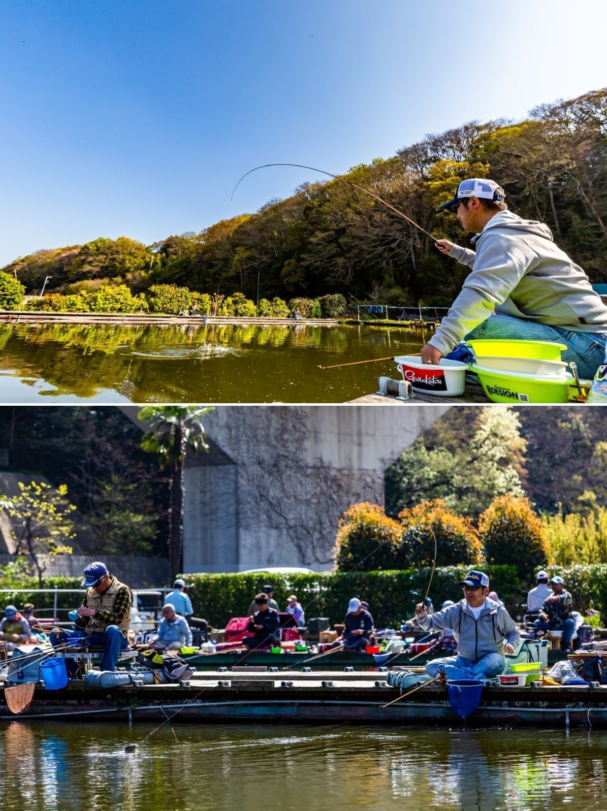 厚木へら鮒センター
