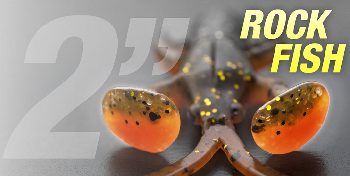 ワームのアップ写真