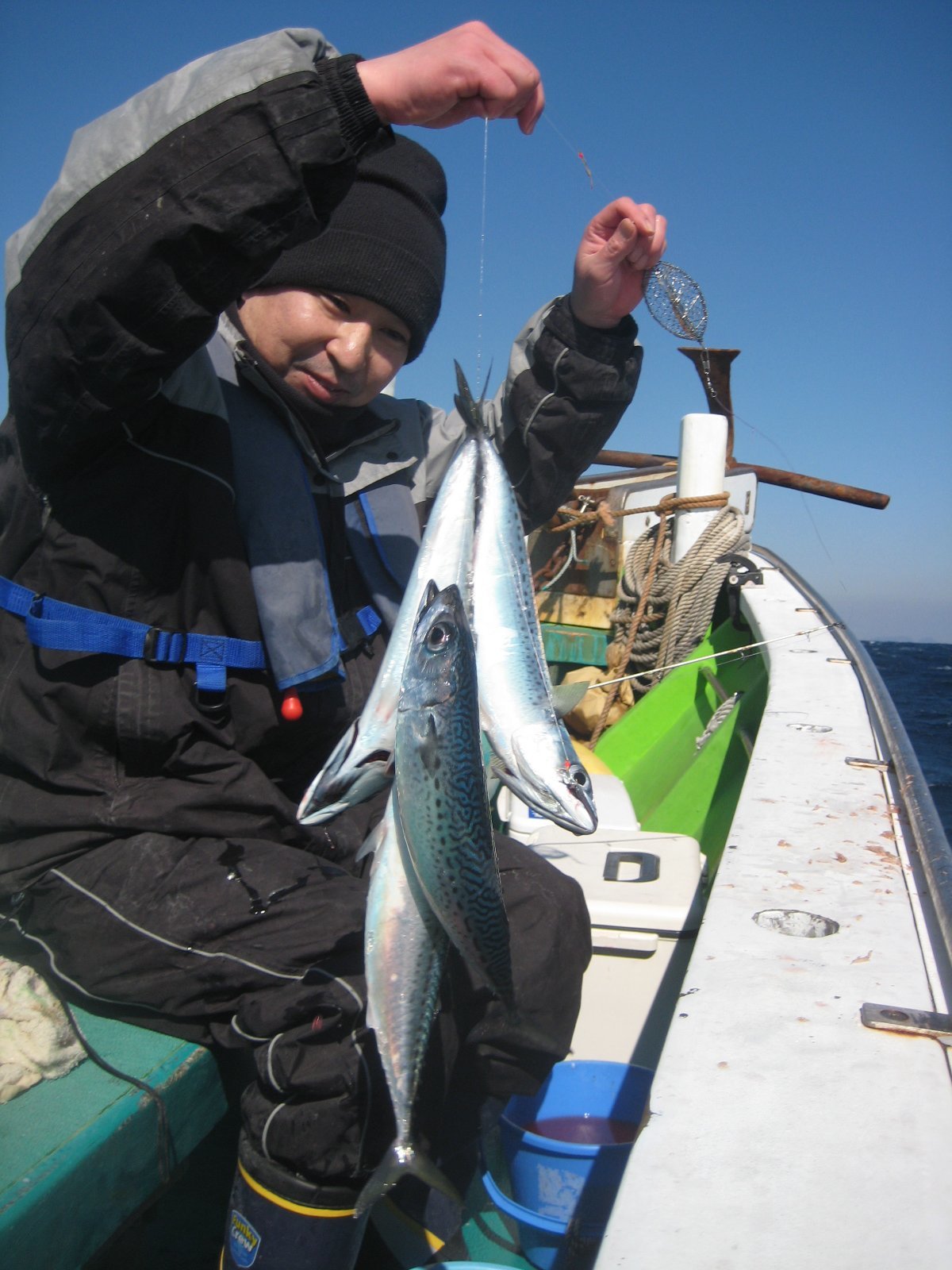 寒サバ釣り攻略法 追い食いは御法度 仕掛けのもつれ問題もこれで解決