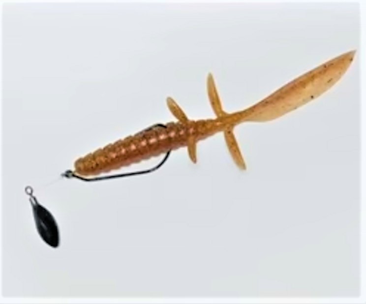 ワームのアップ写真