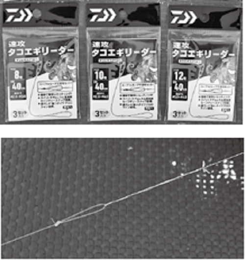 リーダーの写真