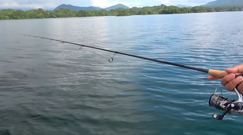 ロッドのアップ写真