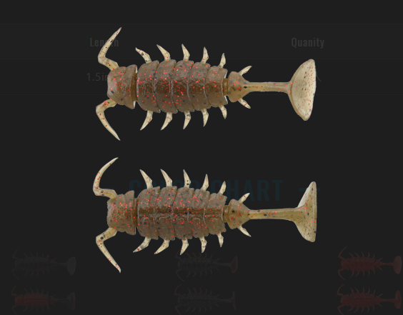 ワームのアップ写真