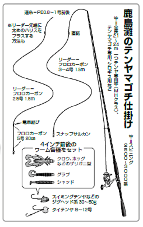 攻めて掛けてくオモシロさ～痛快！鹿島沖のテンヤマゴチ