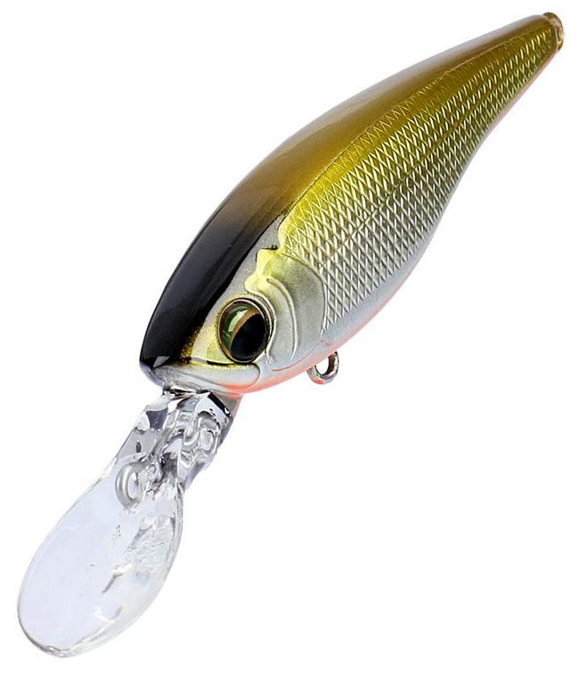 ルアーのアップ写真