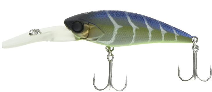 ルアーのアップ写真