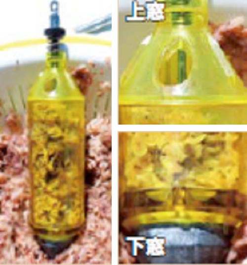 コマセカゴの写真